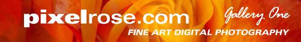 PixelRose.com Fine Art Digital Photography